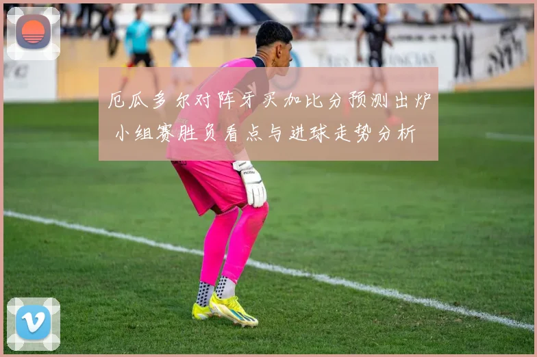 厄瓜多尔对阵牙买加比分预测出炉 小组赛胜负看点与进球走势分析