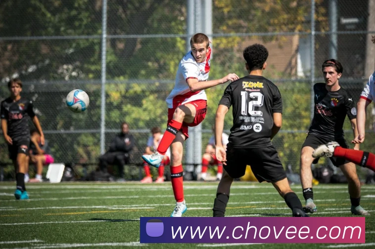 米兰app体育下载APP 封面图